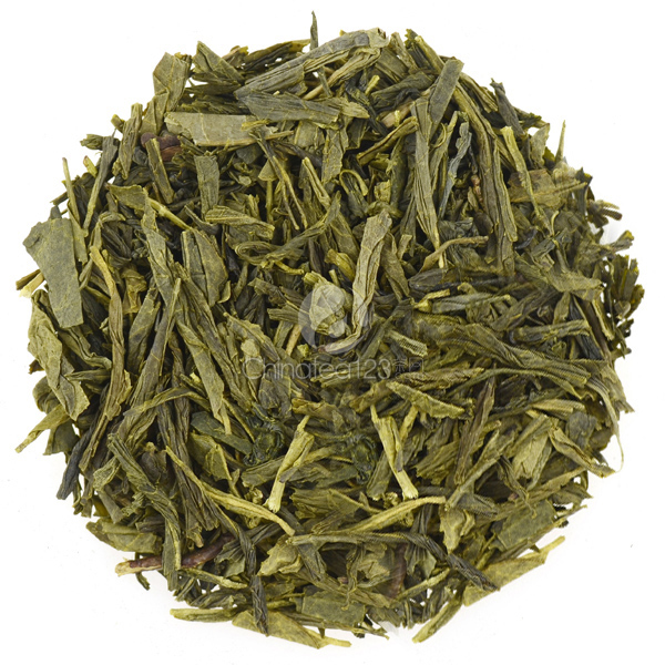 SENCHA